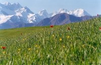 Batken