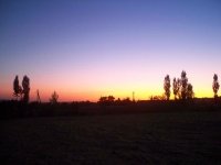 Razzakov
