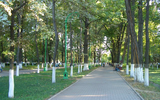 Зеленая пешеходная аллея бульвара Эркиндик в Бишкеке
