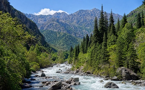 Горная река в Аламединском ущелье