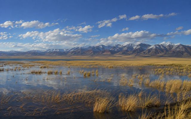 Водно-болотные угодья у Чатыр-Куля
