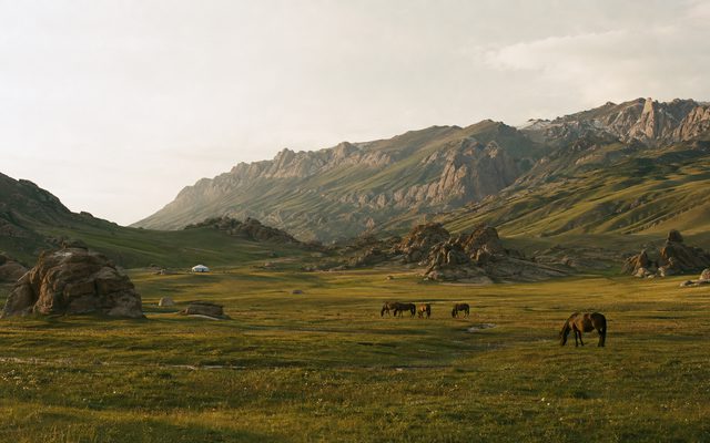 Лошади и скальные останцы на жайлоо Тешик