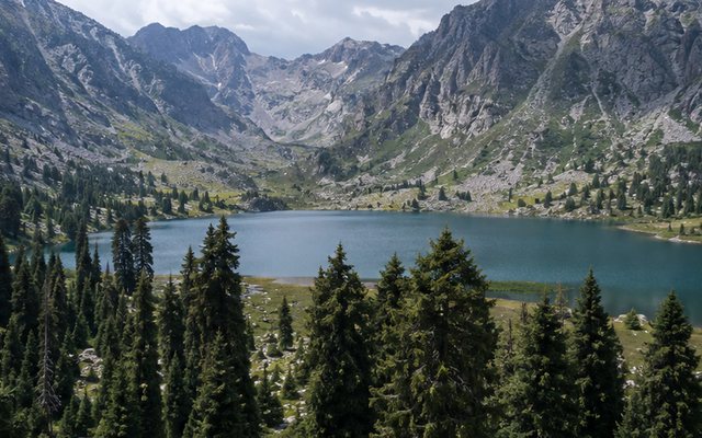 Еловый лес у горного озера в Кулун-Ате