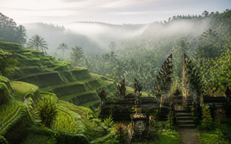 Rice terraces, tropical forest, and a Balinese temple near Ubud