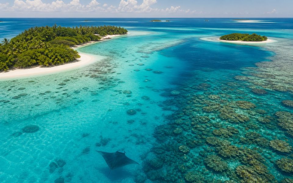 Манта в прозрачной воде, коралловый риф и зеленые острова атолла Баа