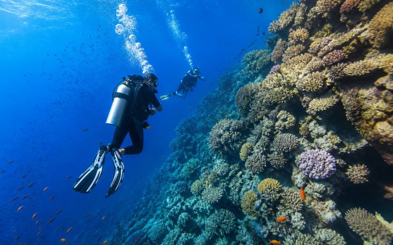 Divers near the deep coral wall of Elphinstone Reef near Marsa Alam