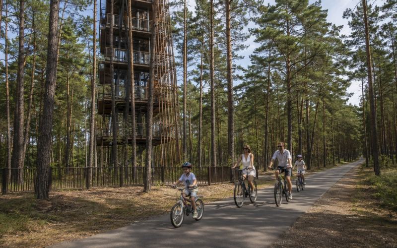 Дзинтари паркынын карагай жолдору жана байкоо мунарасы