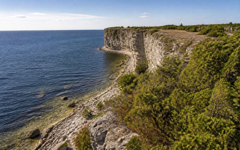 Известняковый обрыв Панга над Балтийским морем на Сааремаа
