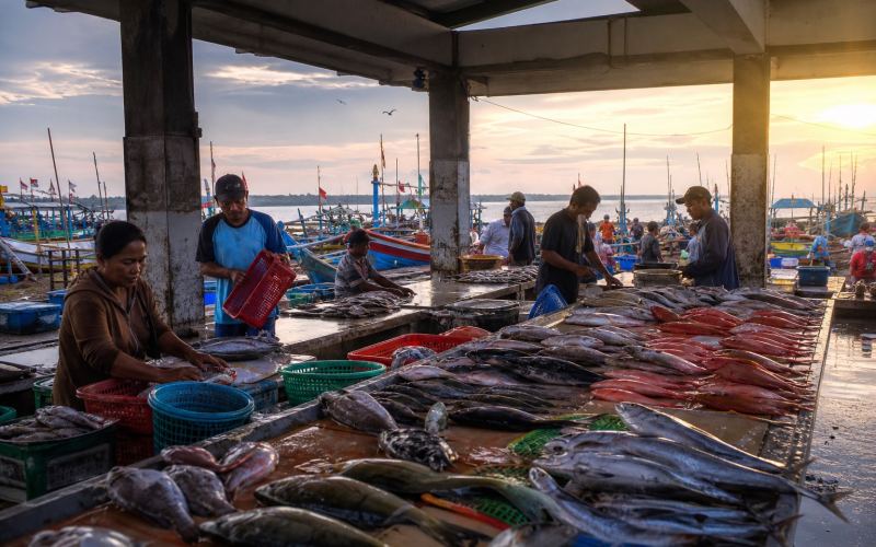 Fresh catch, vendors, and fishing boats at the Kedonganan morning market