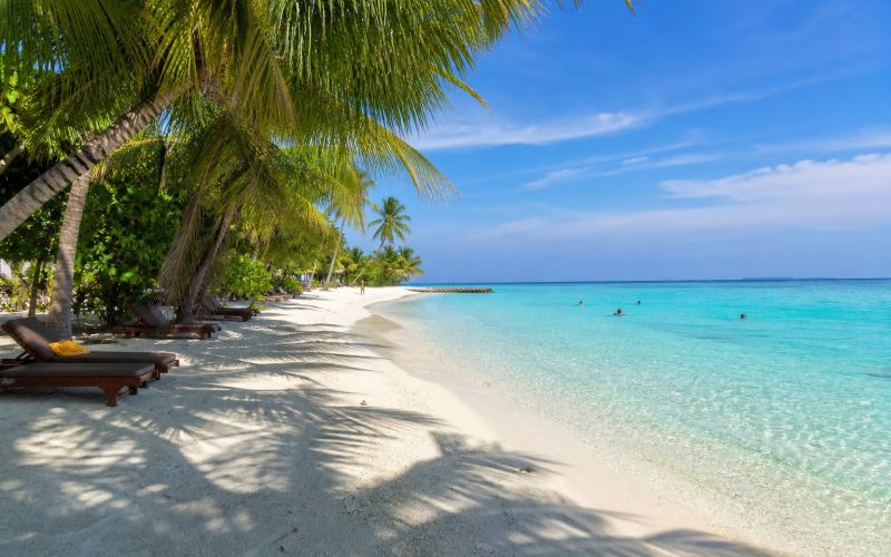 A long white beach under palm trees and a clear lagoon on the local island of Ukulhas