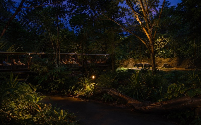 Тропический лес Night Safari в сумерках