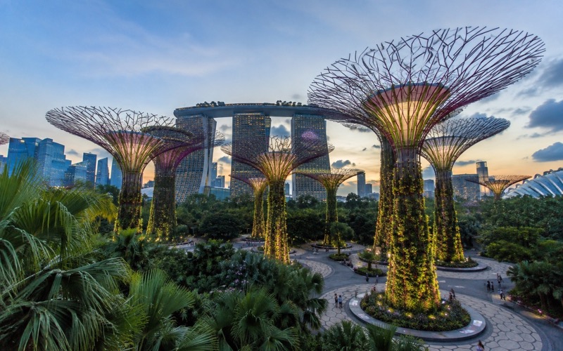 Supertree Grove и тропические сады Gardens by the Bay