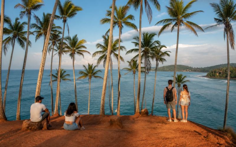 Coconut palms at Coconut Tree Hill near Mirissa