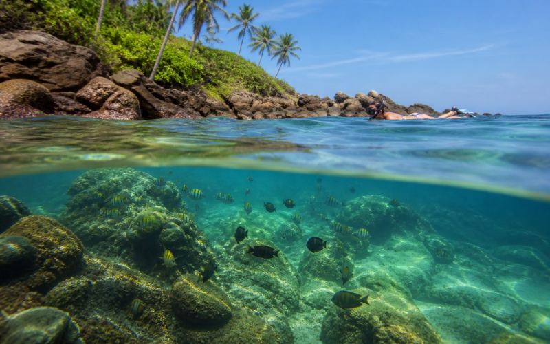 Snorkeling in a clear bay off the rocky coast of Mirissa