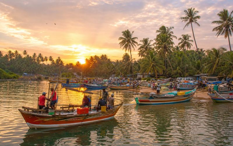 Colourful fishing boats in Mirissa harbour at sunset