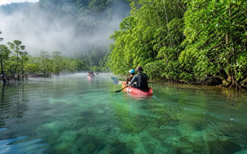 Kayaking on a clear canal among the mangrove forests of Klong Rut in Krabi